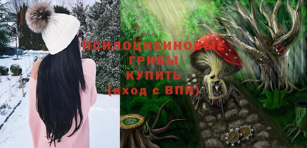 тгк Алексеевка