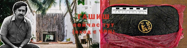 метадон Алексин