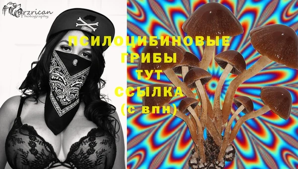 тгк Алексеевка