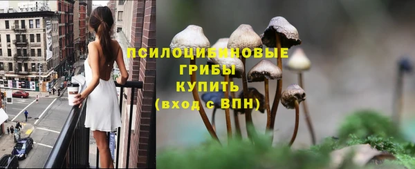 apvp Абаза