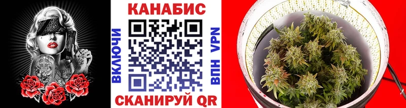 Конопля марихуана  Дубна 